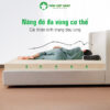 Nệm Cao Su Thiên Nhiên Việt Nhật Natural – Natural 26