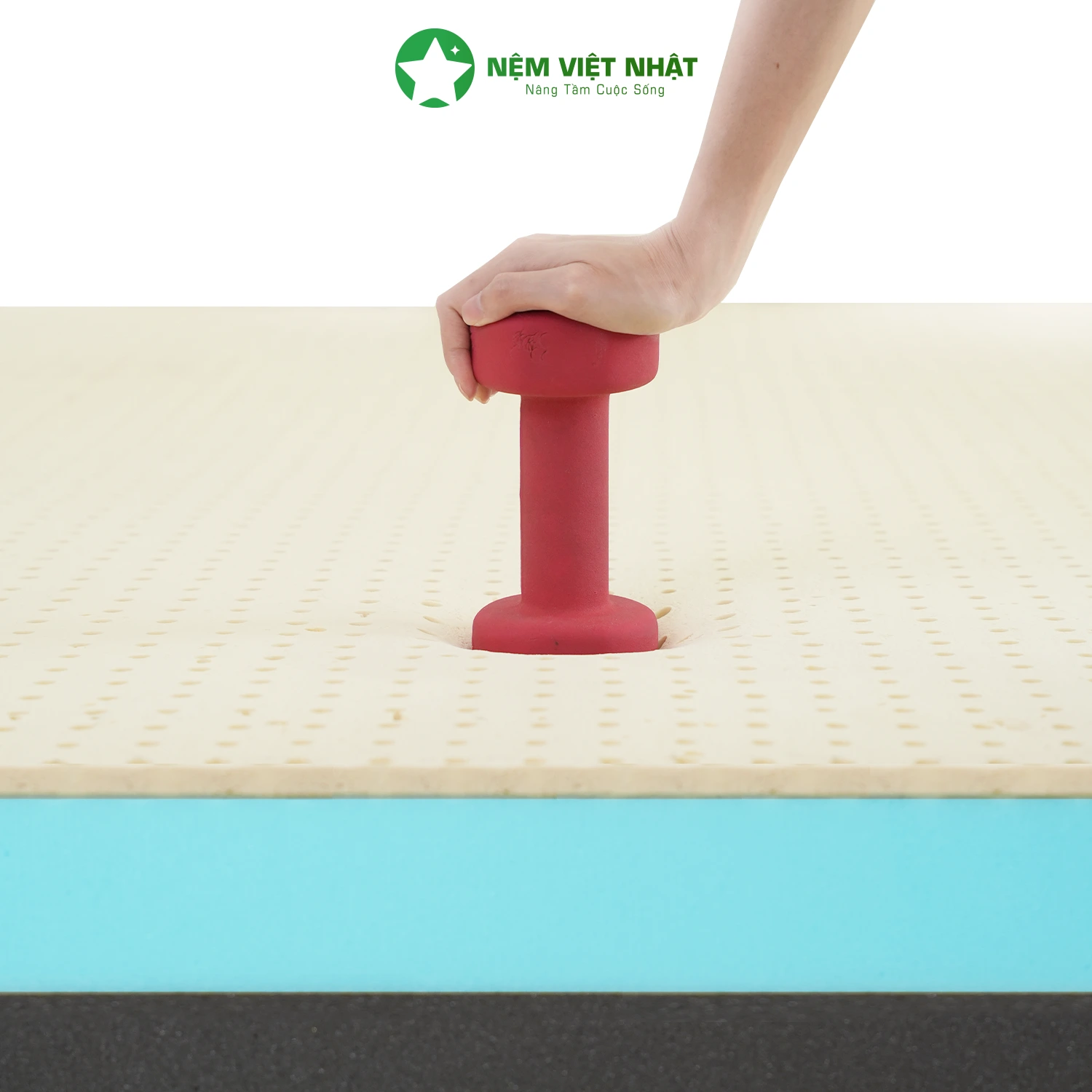 Nệm Foam Latex Việt Nhật Enzo- Gấp Đôi Êm Ái, Chuẩn Khách Sạn – ảnh 38