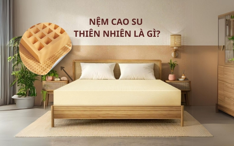 Category Archives: Tin trong ngành – NEM CAO SU THIEN NHIEN LA GI