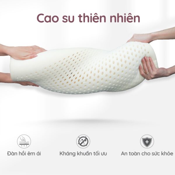 Tặng gối cao su 3