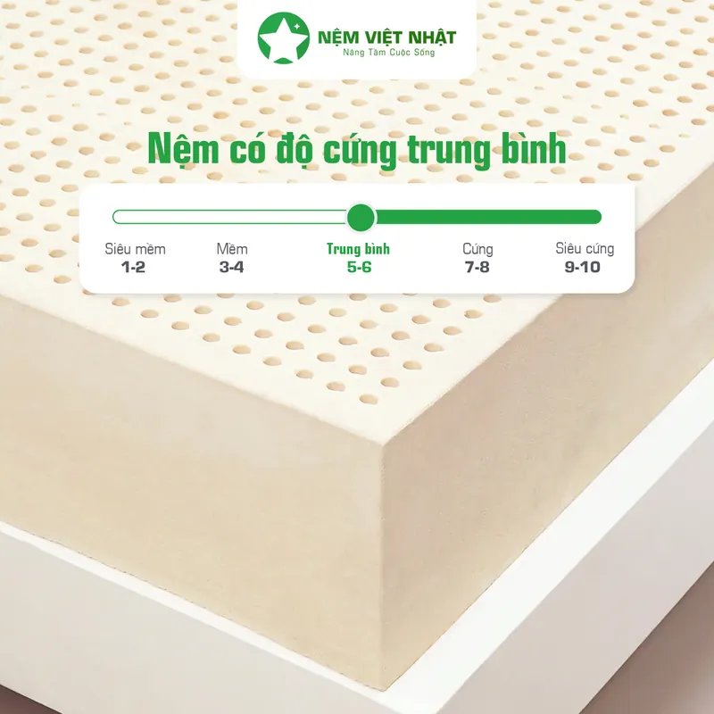 Thang độ cứng nệm cao su, mức trung bình hợp đa số người Việt