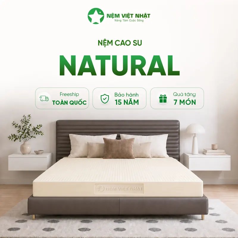 Nệm cao su thiên nhiên Việt Nhật Natural