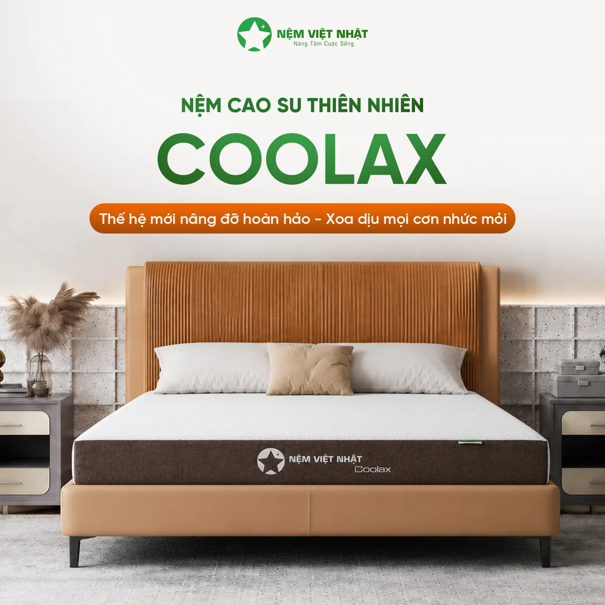 Nệm cao su Việt Nhật Coolax than tre
