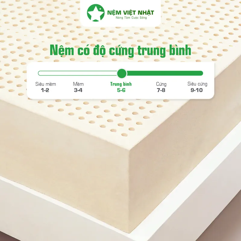 Mặt cắt nệm cao su thiên nhiên nguyên khối với hệ lỗ thoáng khí, thang độ cứng trung bình 5 đến 6 trên 10